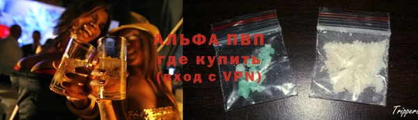гашик Каменногорск