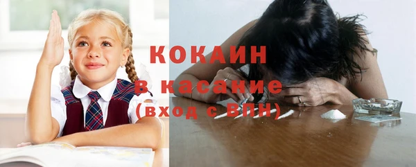 прущая мука Инсар