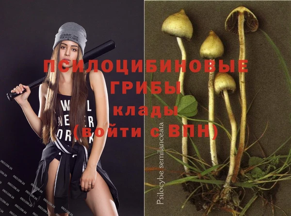 прущая мука Инсар