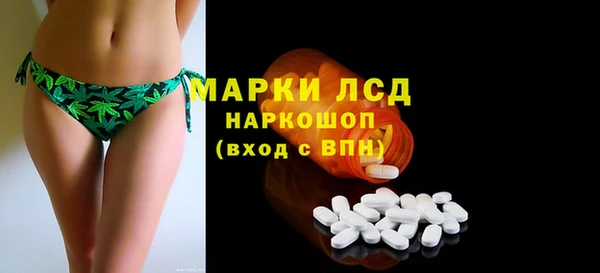 гашик Каменногорск