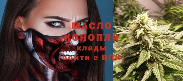гашик Каменногорск