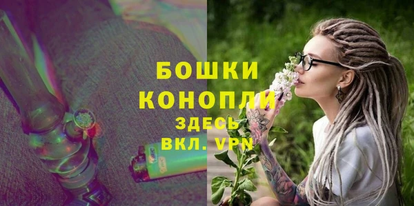 гашик Каменногорск