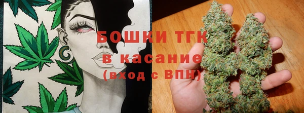 гашик Каменногорск
