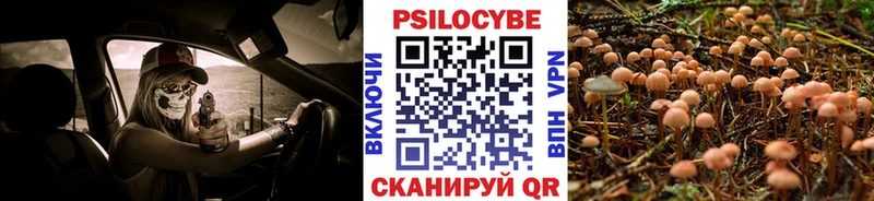 Псилоцибиновые грибы мухоморы  Купить закладки  Грязовец 